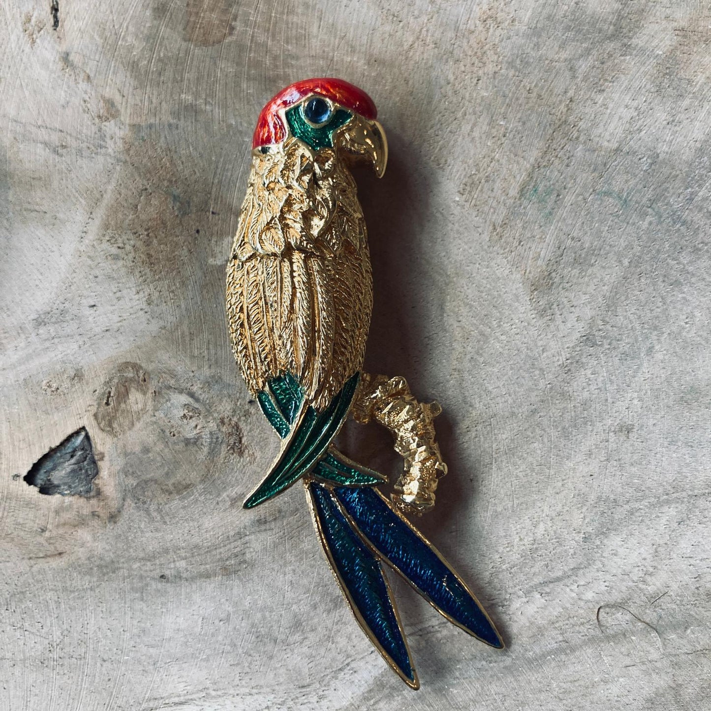 Broche perroquet