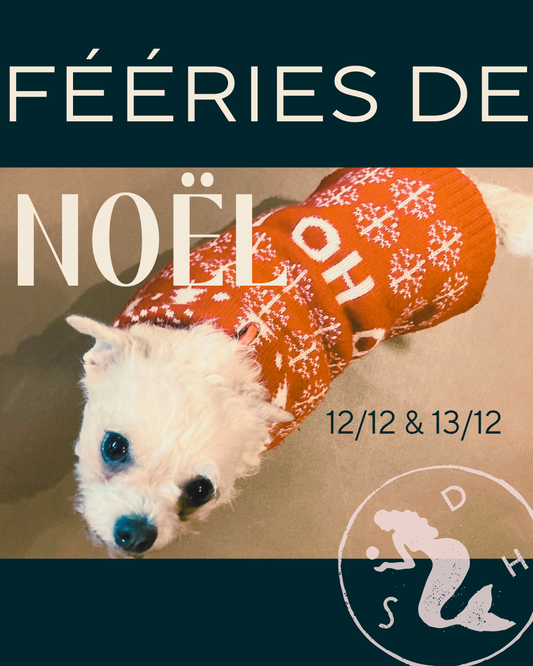Weekend des fééries de Noël - 12 & 13/12
