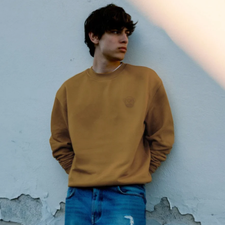 Pull. Sweatshirt unisexe