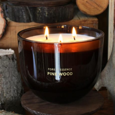 Grande bougie forestière