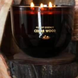 Grande bougie forestière