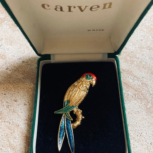 Broche perroquet