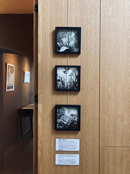 Photographies 20x20 - Ana Bloom