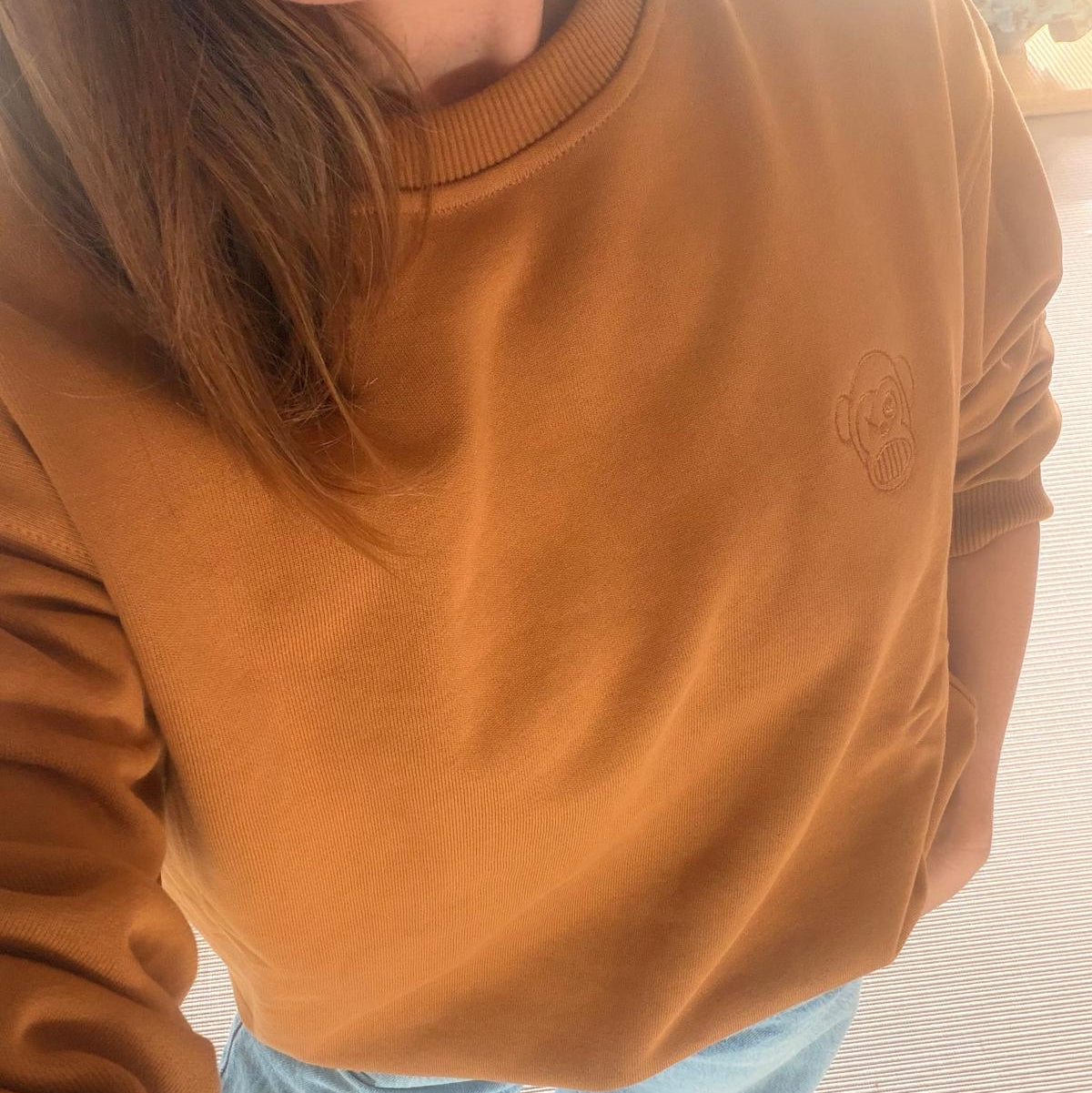 Pull. Sweatshirt unisexe