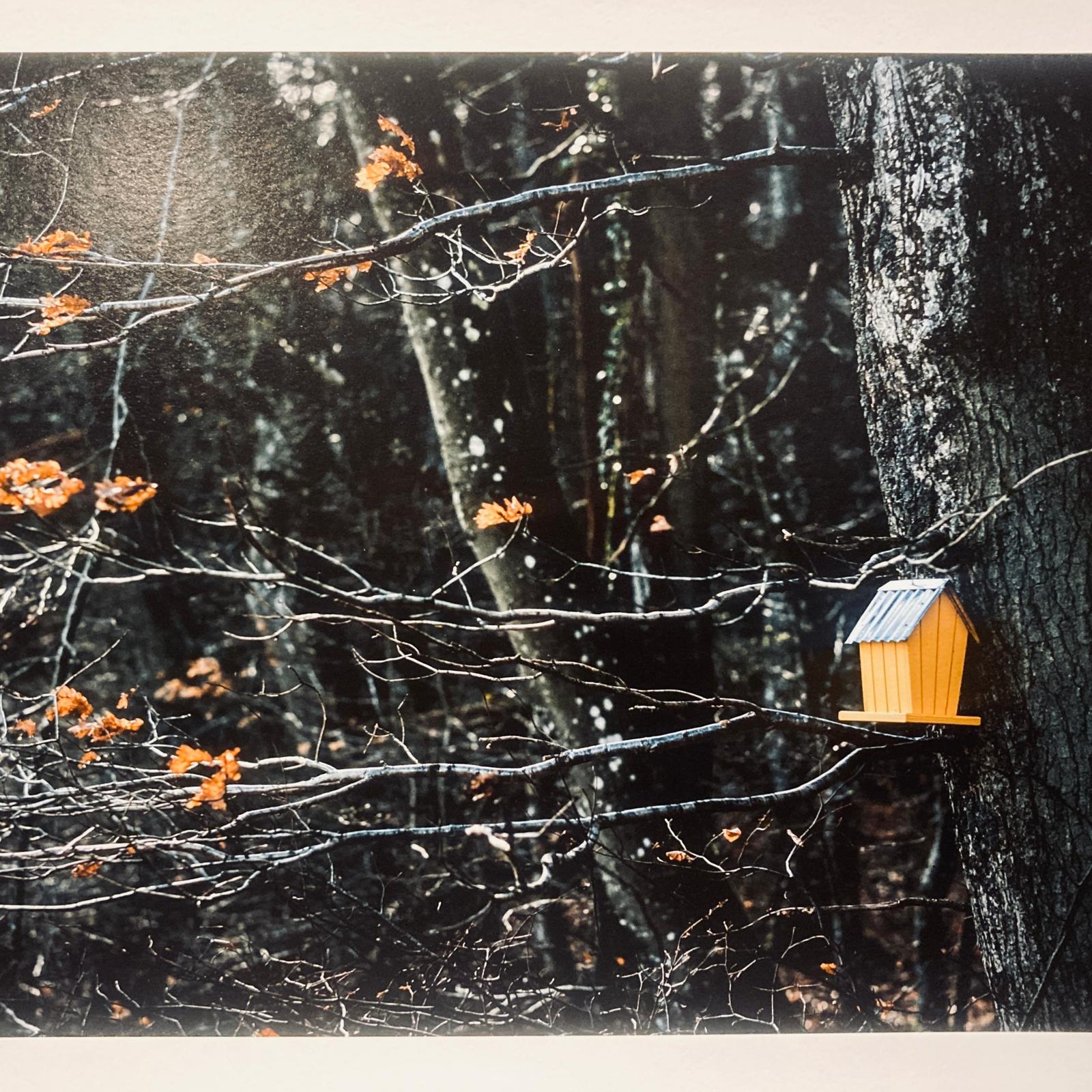 Photographie A3+ en édition limitée de Gueric Rommel, expo 2025