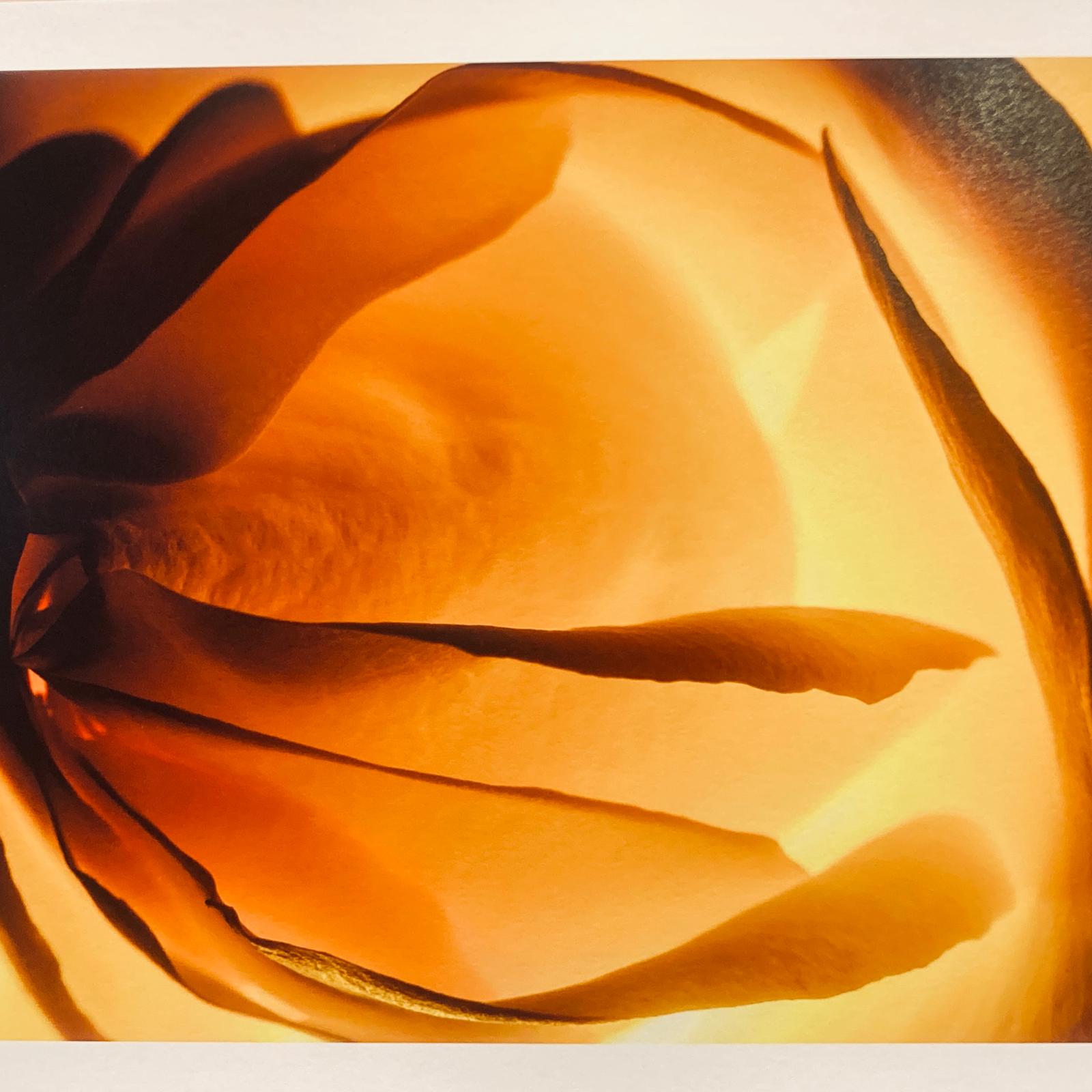 Photographie A3+ en édition limitée de Gueric Rommel, expo 2025