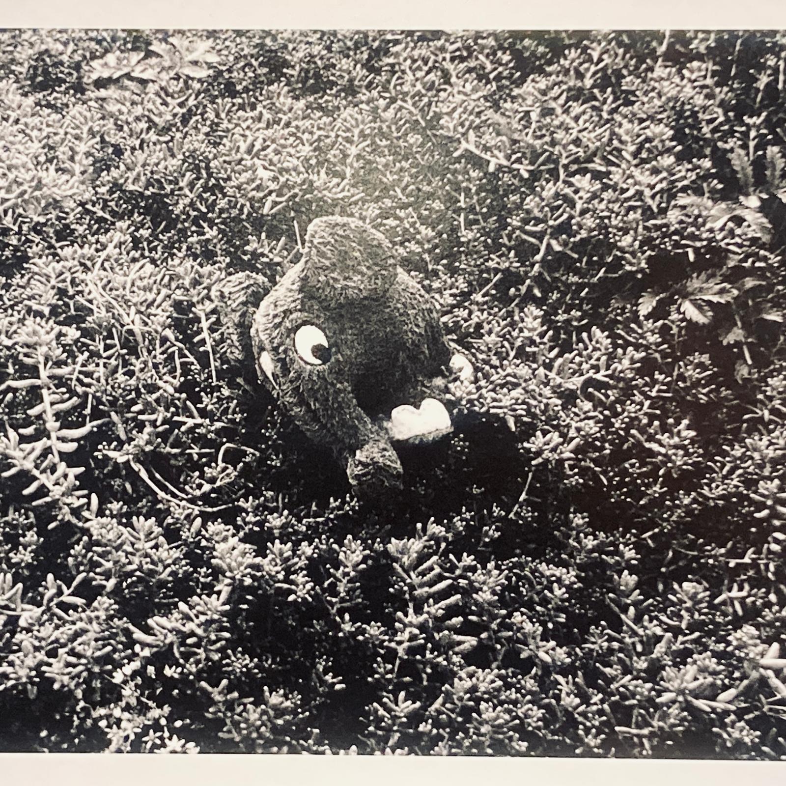 Photographie A3+ en édition limitée de Gueric Rommel, expo 2025
