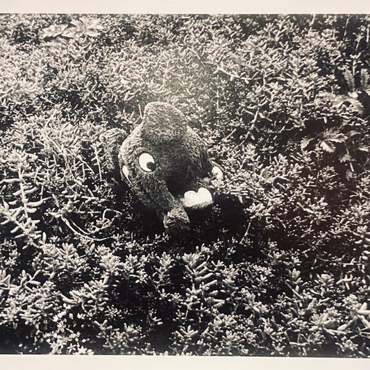 Photographie A3+ en édition limitée de Gueric Rommel, expo 2025