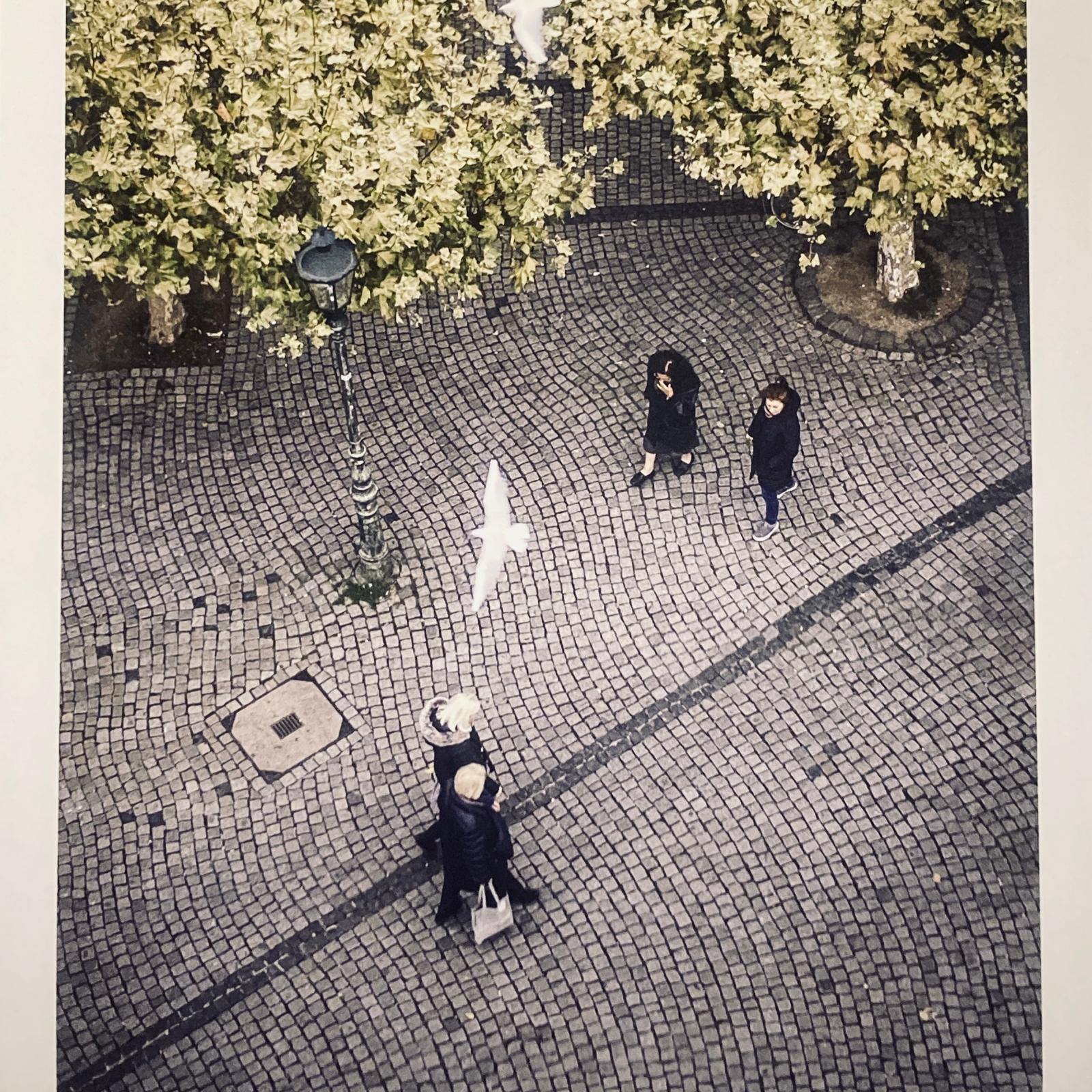 Photographie A3+ en édition limitée de Gueric Rommel, expo 2025
